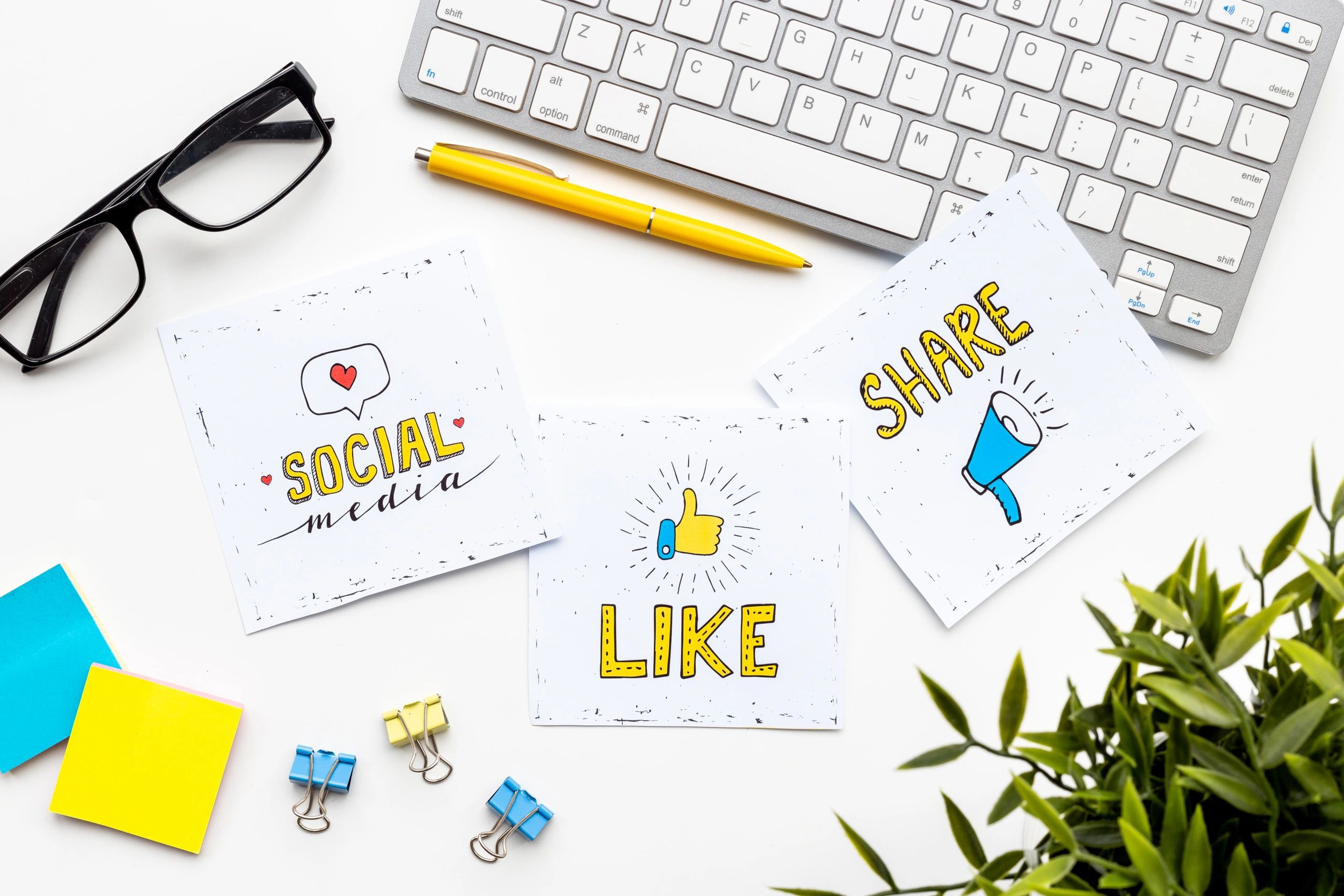 Social Media Management